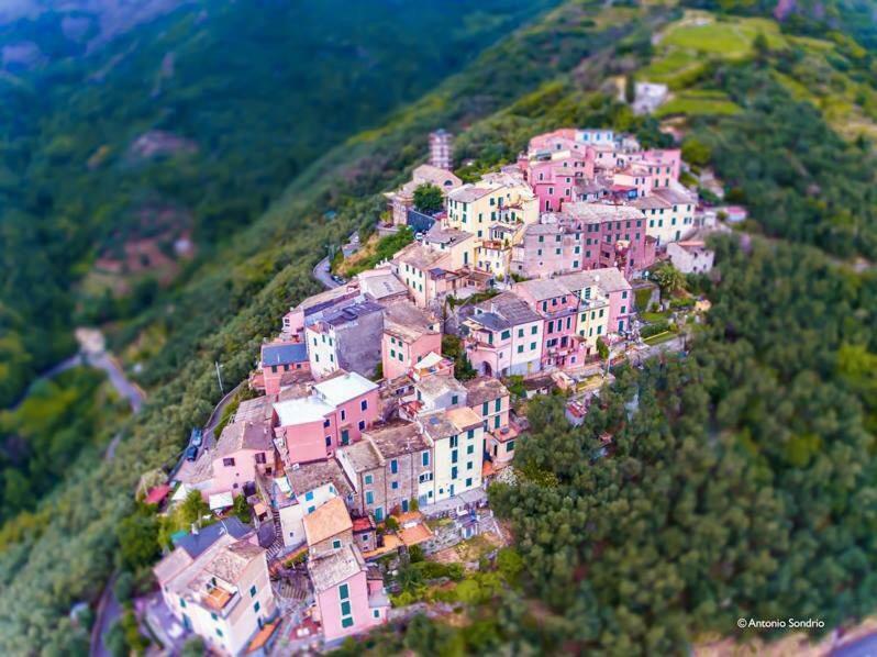 Cinqueterre - Terrace And Beautiful View Levanto Exterior foto